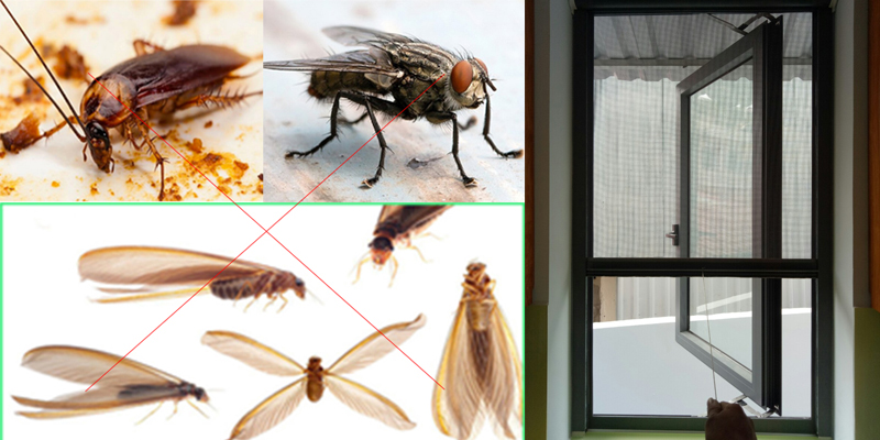 Thực hiện cách vệ sinh cửa lưới chống muỗi định kỳ giúp bảo vệ sức khỏe 